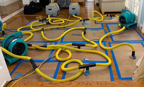 Professional Water Damage Restoration technician working in Easton, WA
